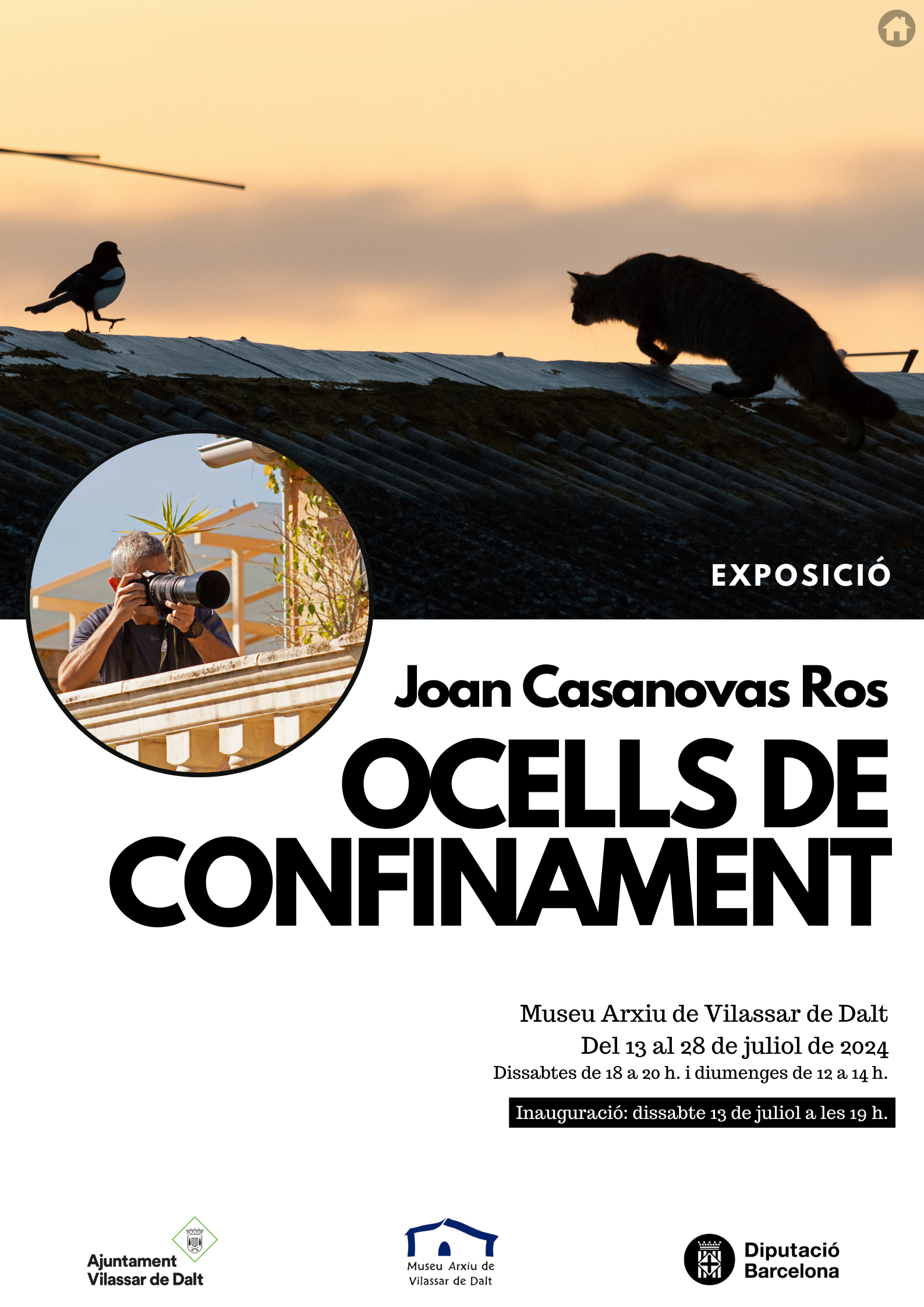 Exposició 'Ocells de confinament'