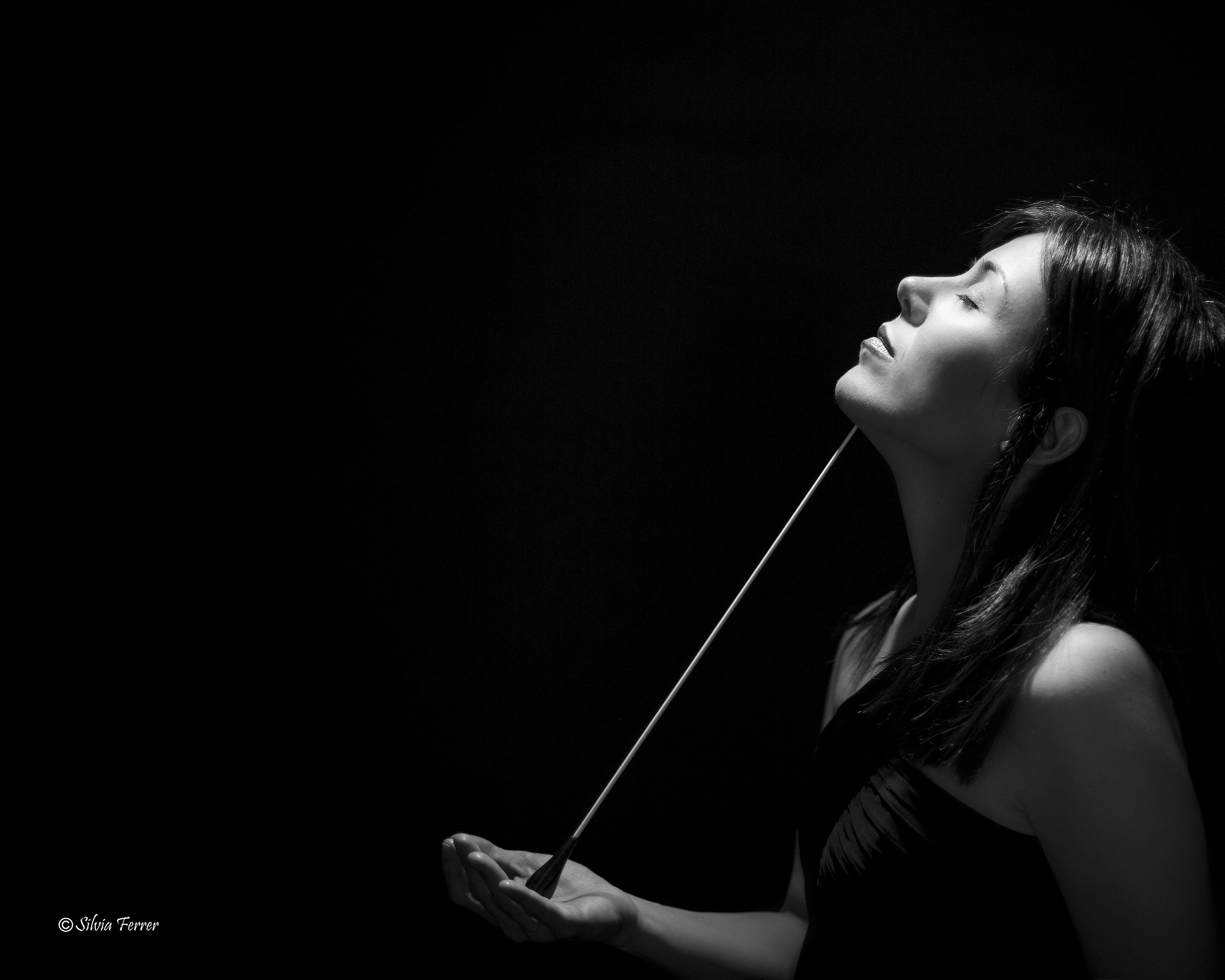 Temporada de cl&agrave;ssica: 'La 2a de Sibelius'