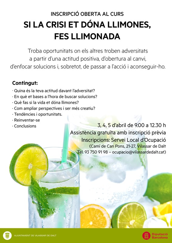 Curs ocupació