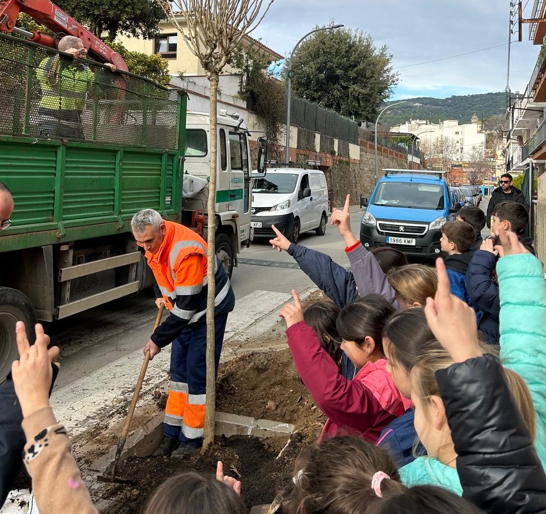 Noves plantades d'arbres per reduir la calor i millorar el confort clim&agrave;tic